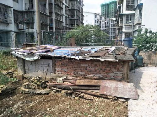 鸡棚的搭建视频