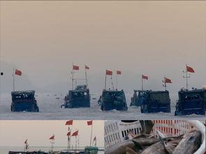 海上捕鱼视频大全播放,高清视频大全精彩回顾