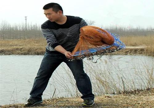 手抛鱼网视频,传统与现代的完美融合